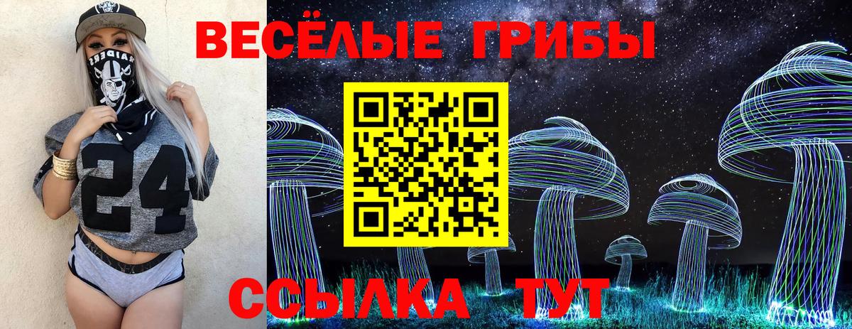 Псилоцибиновые грибы мицелий  Вход с VPN  Знаменск 
