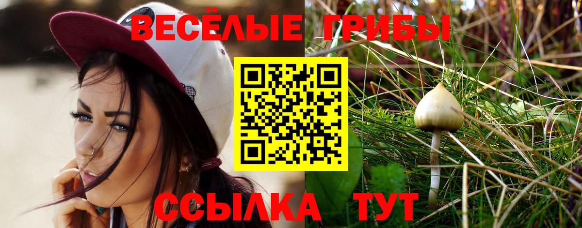 Галлюциногенные грибы мицелий Знаменск